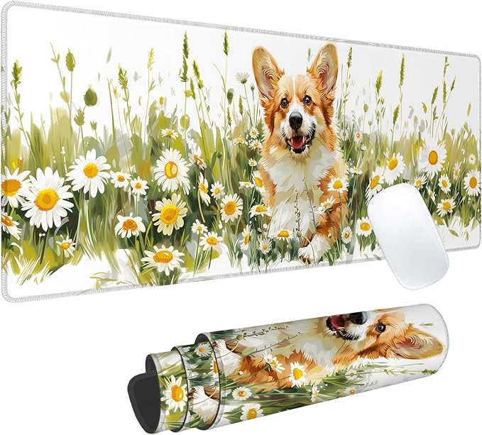 Desk Accessories & Workspace Organizers