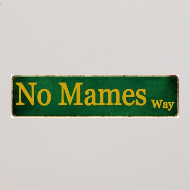 Funny Man Cave Sign Mancave Decor For Men Mexican Gifts For Mens Man Cave Decor No Mames Way Road Street Tin Signs Room Accessories For Men Mexican House Wall Art 4x16 Inch