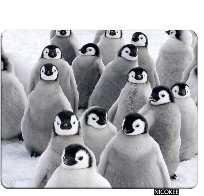 Penguin Rectangle Gaming Mousepad Lovely Funny Penguins South Pole Mouse Pad Mouse Mat for Computer Desk Laptop Office 9.5 X 7.9 Inch Non-Slip Rubber