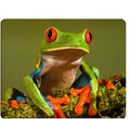Frog Gaming Mousepad Cute Tree Frog Green Wild Animal Mouse Pad Mouse Mat for Computer Desk Laptop Office 9.5 X 7.9 Inch Non-Slip Rubber