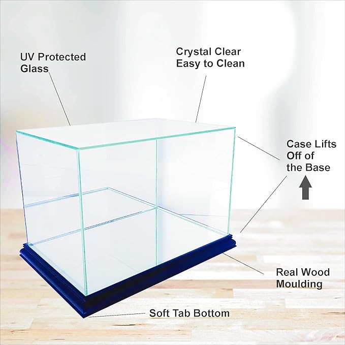 Golf Ball Display Case (Cherry with Engraving)