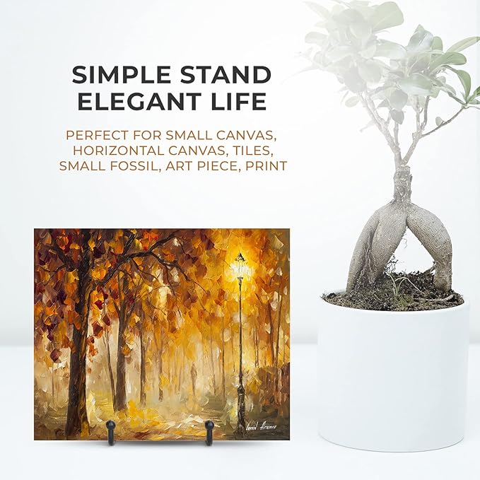 TR-LIFE 3 Pack 3 Inch Plate Stands for Display - Small Easel Holder Stand for Picture, Decorative Plate, Platter, Book, Photo