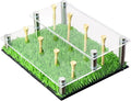 Golf Ball Display Case, Balls Rack with Tees 2 Tier Acrylic Stand Holder for Tennis