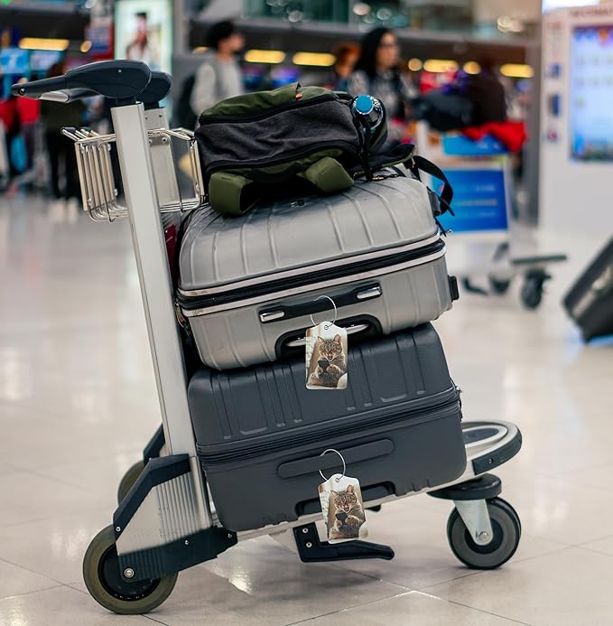 TSA Approved Luggage Tags for Suitcases Cat Phone 2 Pack Funny Leather Carnival Cruise Airport Cute Travel Name Tags Golf Bag tag Ships Essentials Privacy Cover ID Label for Women Men